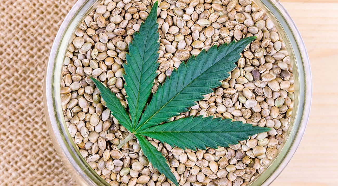 Humboldt seed company