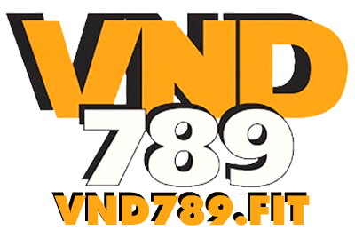 VND789 fit