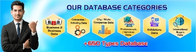 B2B Database Providers