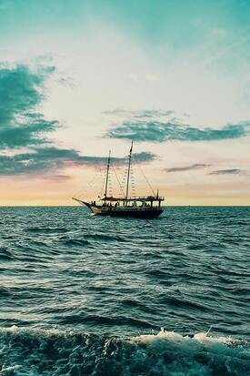 Sunfish Sails Online