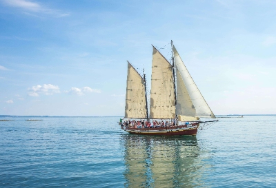 Catalina Sails Online