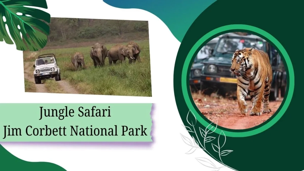 Jim Corbett Jungle Safari – All Details