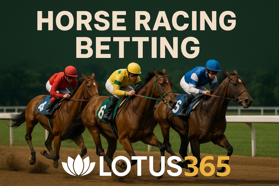 An Introduction to Horse Racing Betting