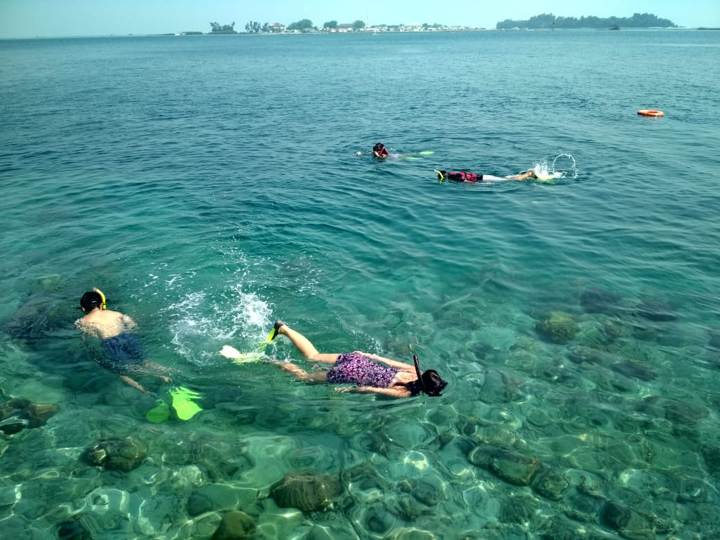Pulau air  Deskripsi