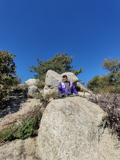Learn More About Joshua & Innerscapes
